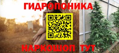 молекула духа Чебоксары