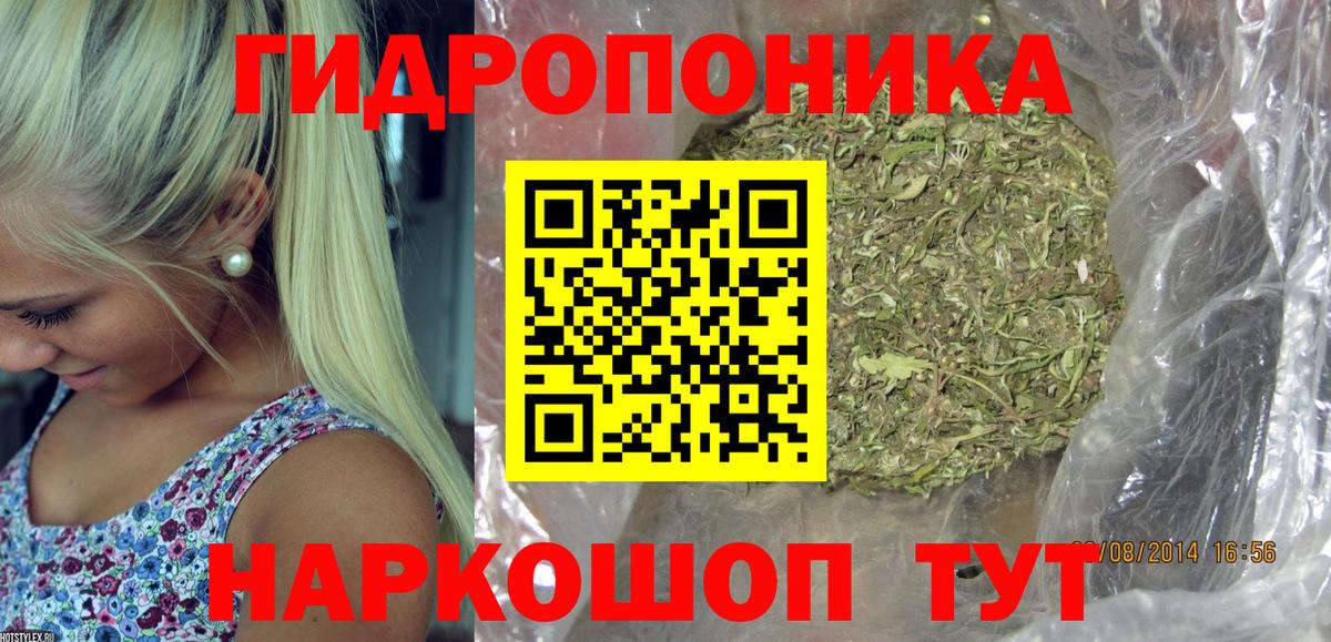 МАРИХУАНА конопля Мирный